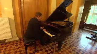 Peter Laul plays Schumann Blümenstück op. 19