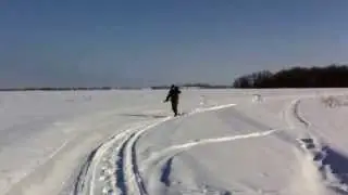 Зимняя охота на зайца и лису. Горе охотники Всю зиму проходили и ничего не добыли.