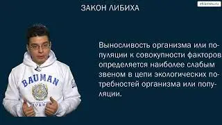 Курс БЖД  Основные понятия