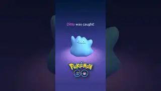How to Catch DITTO in Pokémon GO (SEPTEMBER 2024)