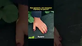 Боремся с СОРНЯКОМ👩‍🌾 #рекомендации #дача #советы #огород #сад #урожай #рассада #грядки #shorts