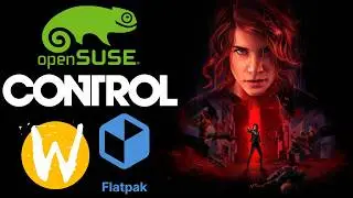 Losing Control in Linux (Proton and Wayland)