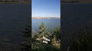 18 Ağustos 2024