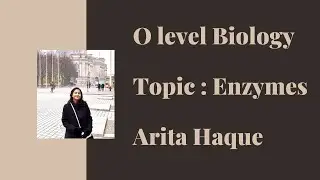 Enzymes | O level Biology | Lesson #1 | A lesson a day