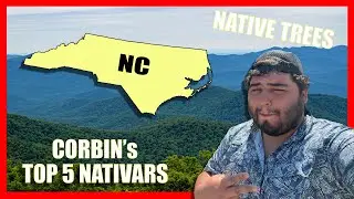5 East Coast "Nativars" that You Should Definitely Add to Your Garden!