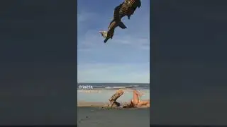 11 минут смеха
