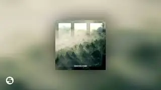 MaMan - Abundance