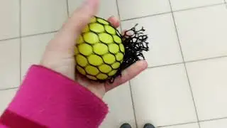 Лизун в сетке!