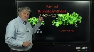 Is PAR really 400-700 nm? The McCree Curve Revisited with evidence ePAR should be the new standard.