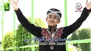 Dil Nabi Nabi Bolda e Nabi Nabi || (Dil Nabi Nabi  Bolda aya Nabi Nabi Album -2 ) ||