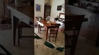 Coronavirus in casa(1)