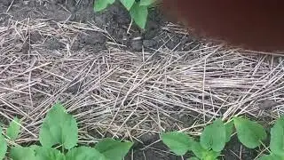 Віримо в ЗСУ! Допомагаємо ЗСУ!