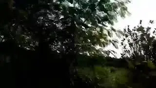 Sumba on a bike