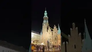 11 листопада 2022 р.