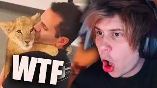 RUBIUS REACCIONA a VIDEOS de ANIMALES