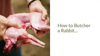 How to Butcher a Rabbit
