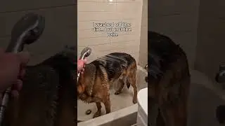 Why are people like this… 