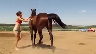 Even The Horse Showed It s Sympathy For The Girl Who Just Couldn t Climb Up