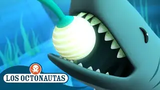 Los Octonautas Oficial En Español - Dientes grandes | Episodios Completos