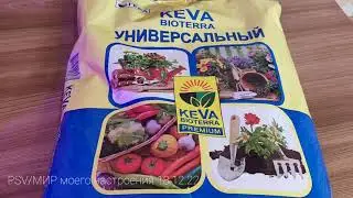 18.12.22 Грунт для рассады и цветов.Что выбираю я для успешного развития растений.