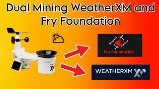 Dual Mine WeatherXM and Fry Foundation Crypto Tokens