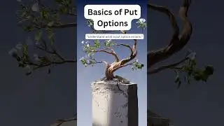 Put Options 101- Benefits to Buying a Put Option