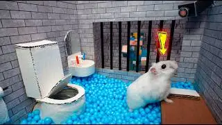Hamster Escapes Prison Maze 🐹 Best of Hamster Adventures pets in real life 🛑Live Stream