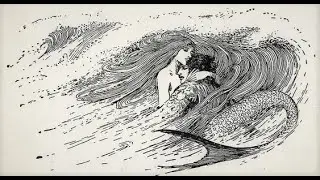 사랑의 모양