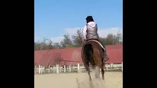 La mia preparazione per la tappa Apcr di aprile - reining con la mia Fritzi