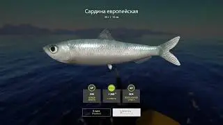 Норвежское море (креветки + обезьянка)