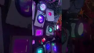 Wake the Tiger Experience