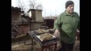 Нутрия  На пороге очередной весны