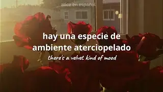 Velvet Mood - Alice Phoebe Lou (sub español)