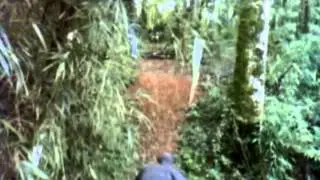 Tombo do Bicudinho de bike na Downhill