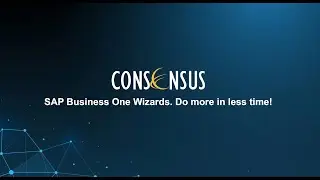 SAP Business One Wizards - Do more in less time!