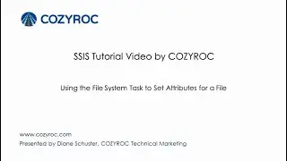 Using the File System Task for setting file attributes - 