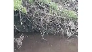 22.05.2020 Экологическая катастрофа на реке 