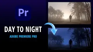 How to Change Day into Night in Premiere Pro
