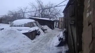 Сельское хозяйство. Животноводство