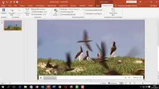 PowerPoint Sunusuna video (Gömme) Ekleme