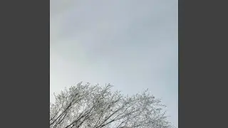 Periscope