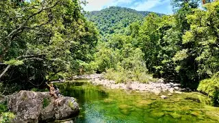 Sailing the Daintree | Oldest Rainforest in the World!