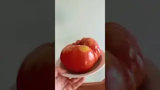 Из серии: Даосские Гиганты👍😂😂😂