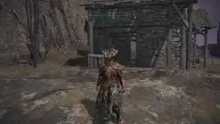 ELDEN RING 115 