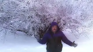 Видеосъемка под ключ.  https://www.youtube.com/channel/UC27gD_B3hEGYL2Bv-t4jmPg