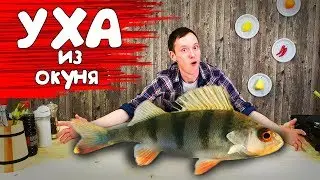 Рецепт УХИ КЛАССИЧЕСКОЙ ! Вкусно, дешево и быстро! Яяязь (из окуня)!!)