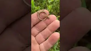 I Found A Ring With my Metal Detector! #metaldetecting #detecting #metaldetector #treasurehunting