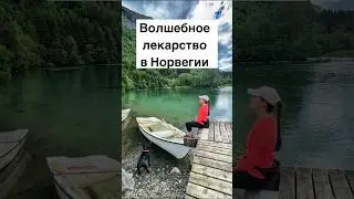 Волшебное лекарство в Норвегии #норвегия