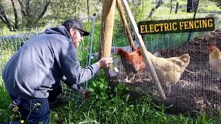 1ST TIME | Electric Poultry Netting Kit.