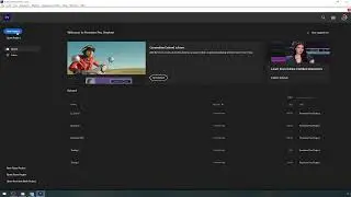 Adobe Premiere Pro Beginner Tutorial | Project Setup, Folder Structure & Import with Adobe Bridge